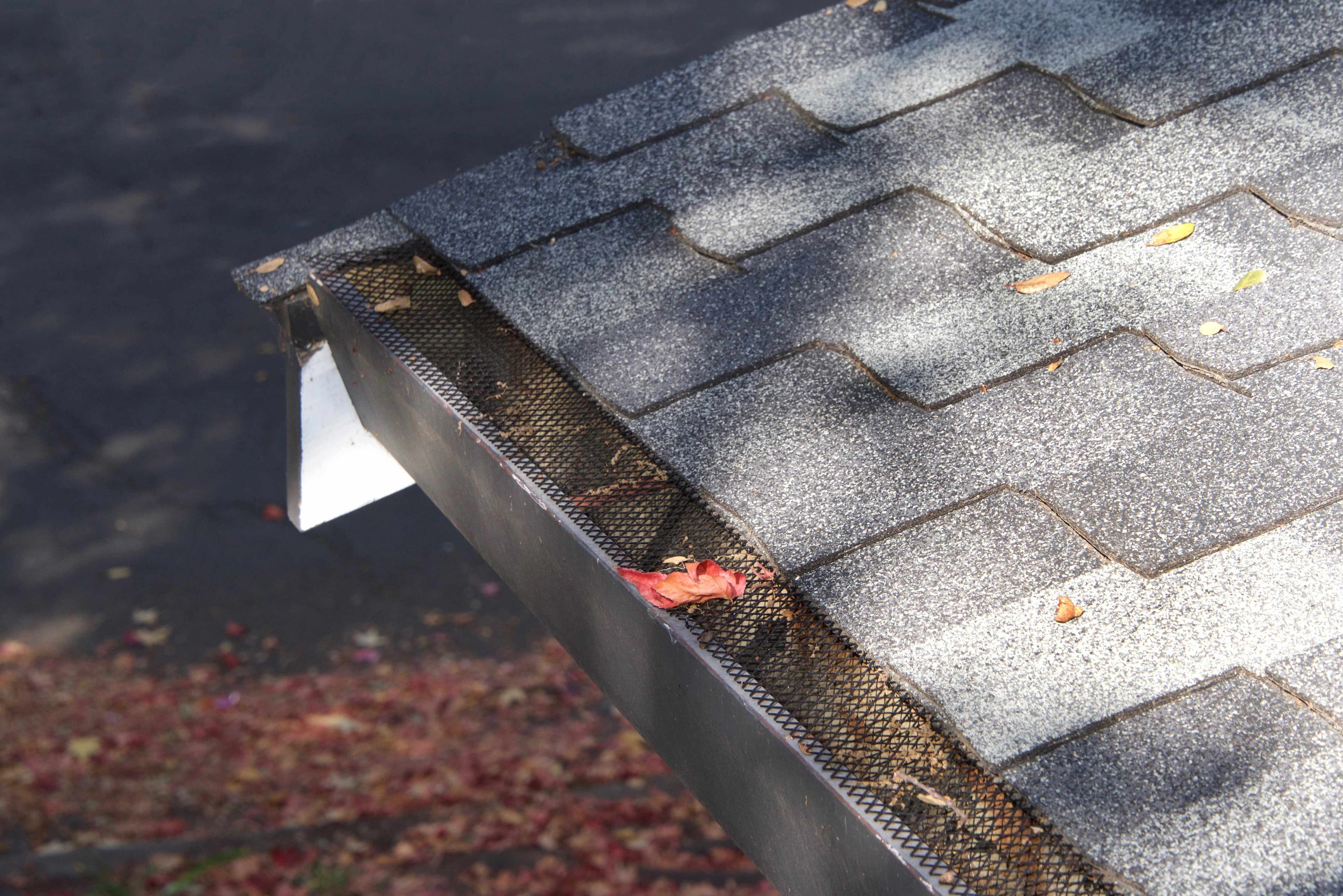 Close-up of a wire mesh gutter guard along an asphalt shingle roof edge with a single leaf and debris resting on top of the mesh