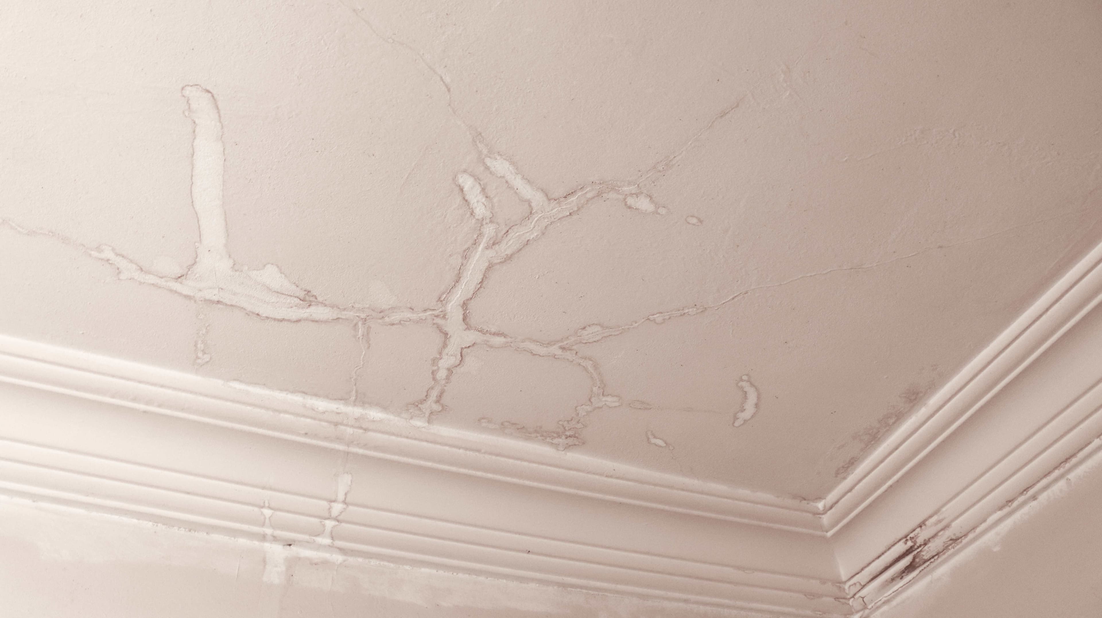 Ceiling showing branching water stain patterns and cracks characteristic of water intrusion damage, with crown molding visible