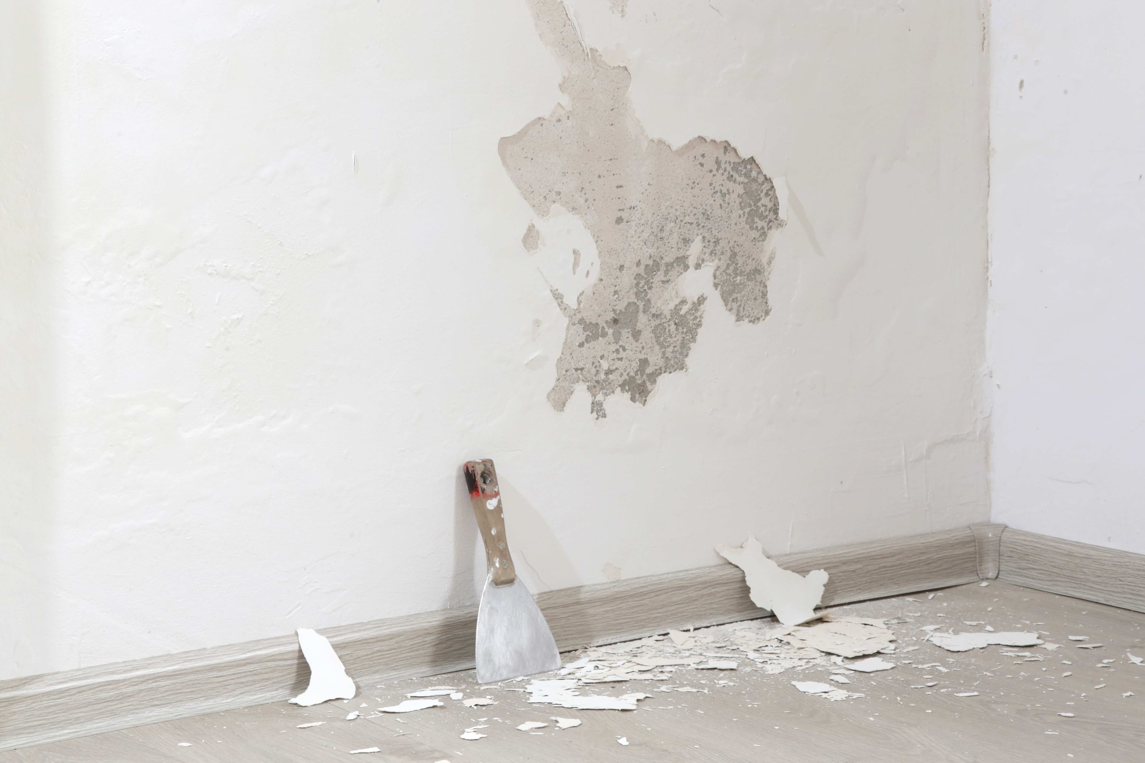 Interior wall with peeling paint and plaster from water damage