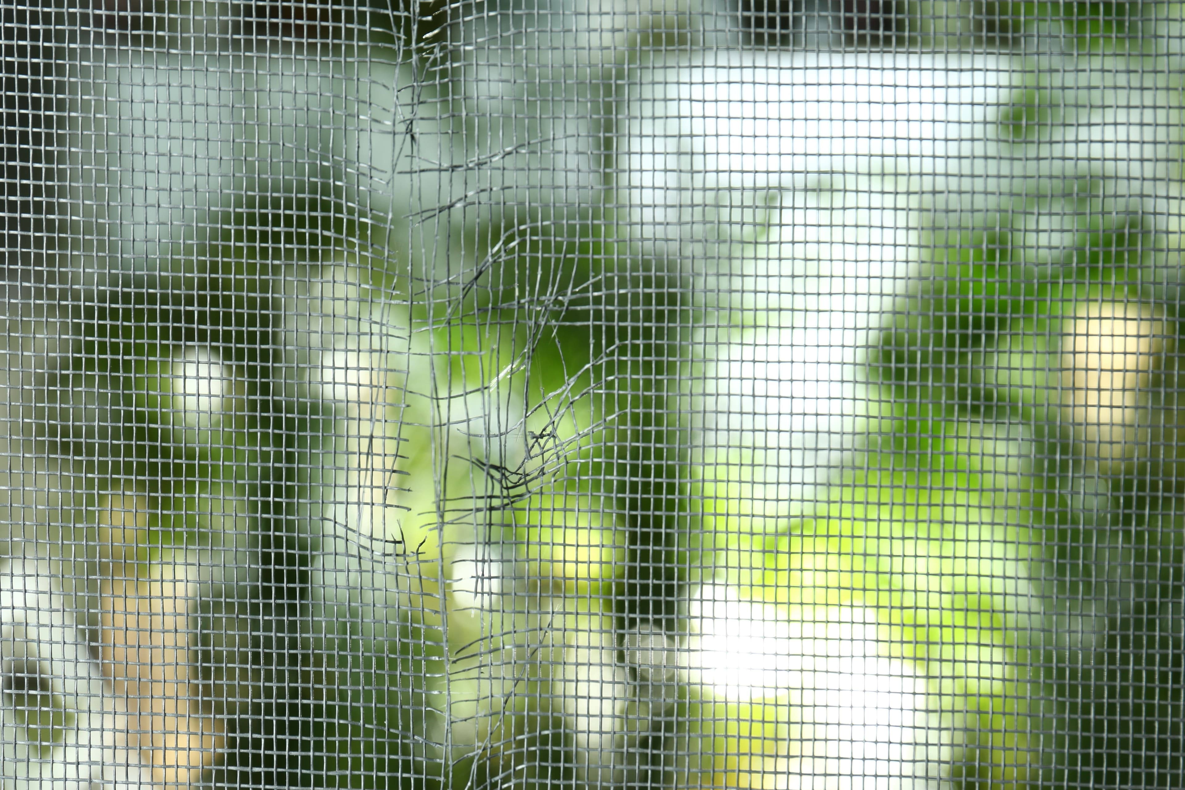 Torn residential window screen mesh in need of repair