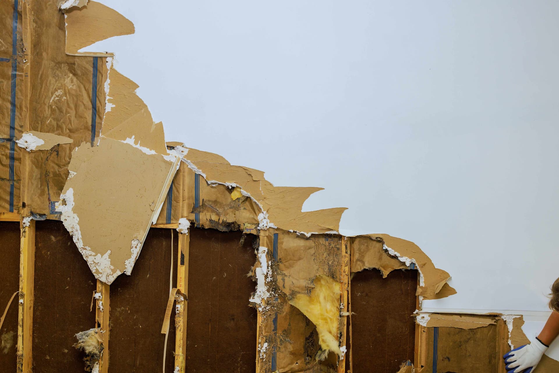 Damaged wooden fence with peeling paint and deteriorating boards showing weather damage