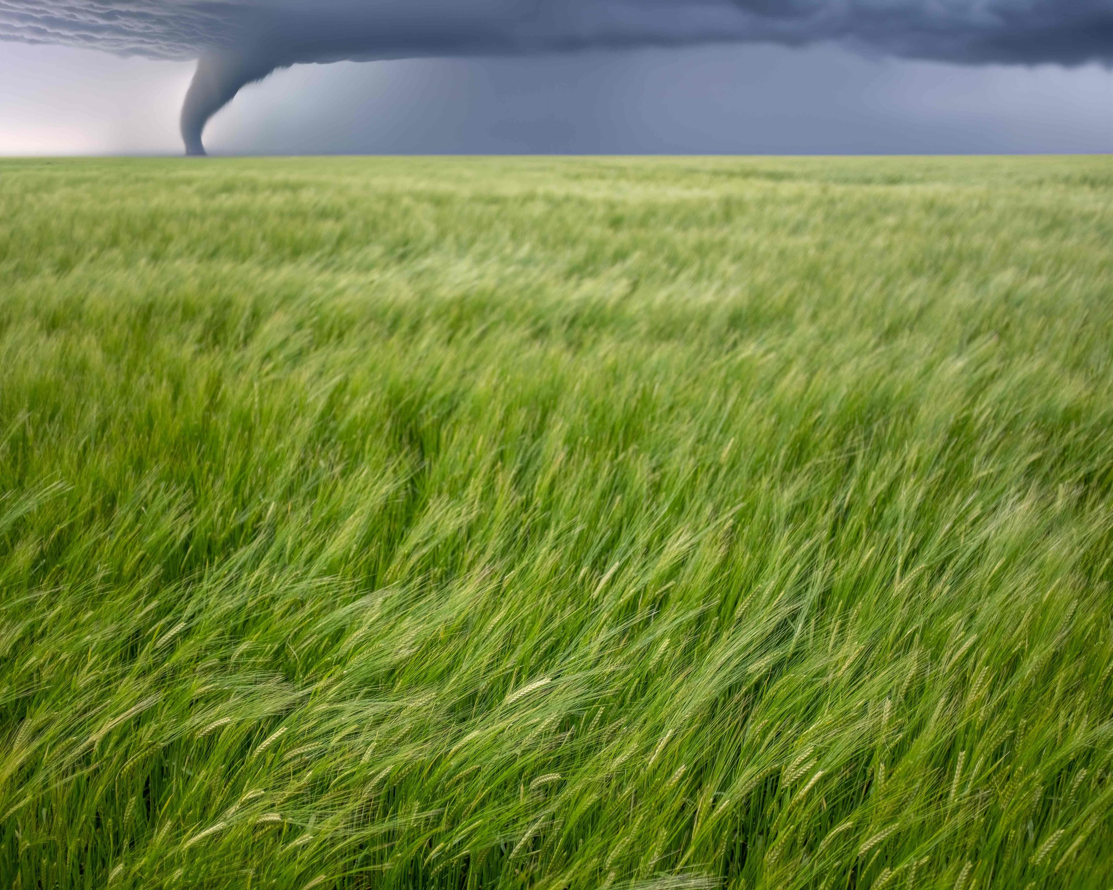 Tornado funnel forming over a green North Texas prairie landscape