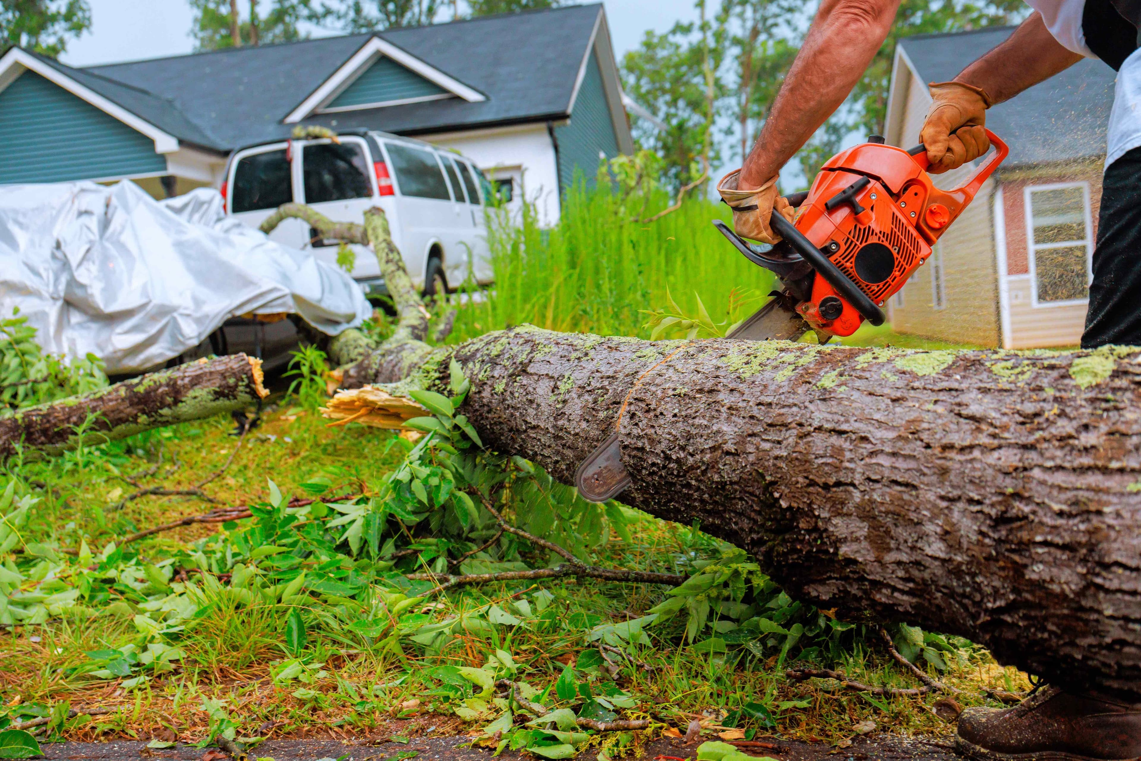 A person wearing gloves using a chainsaw to cut through a large fallen tree branch near a house and a covered vehicle