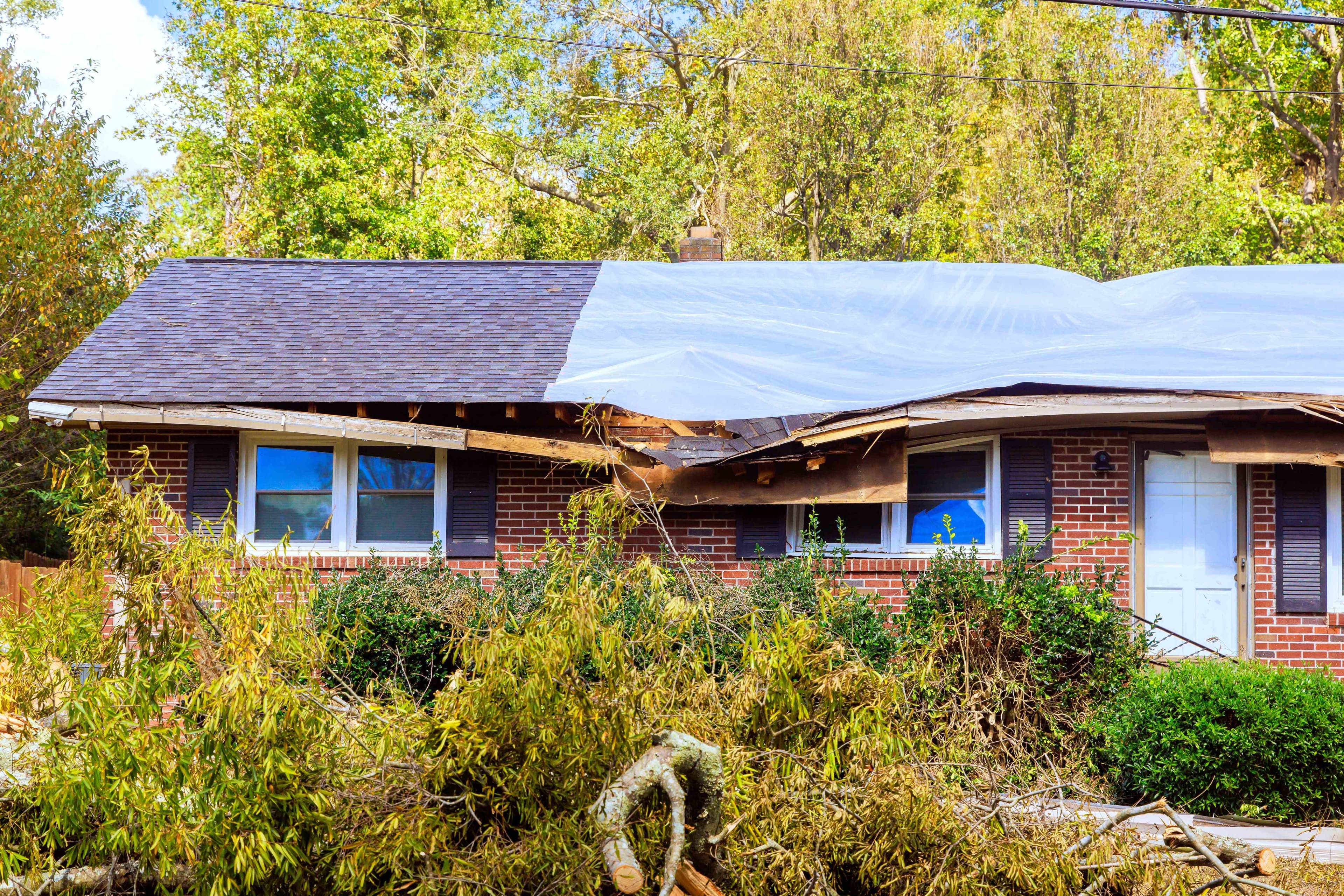 A house roof partially covered with clear plastic sheeting after storm damage, with fallen branches nearby