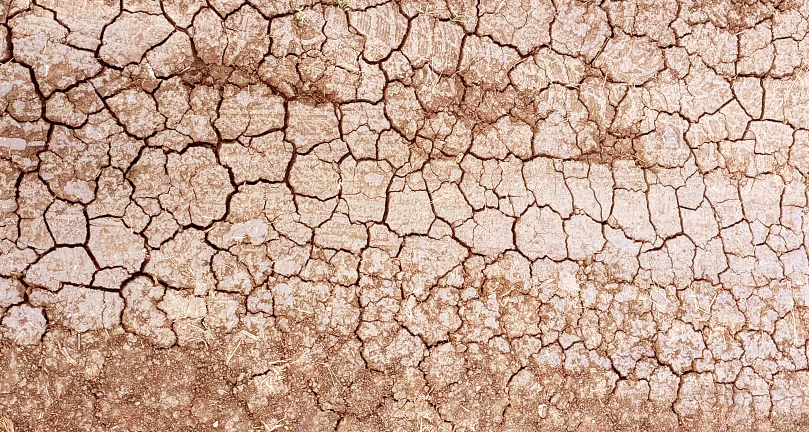 Close-up of severely dry, cracked clay soil with a honeycomb pattern of deep cracks